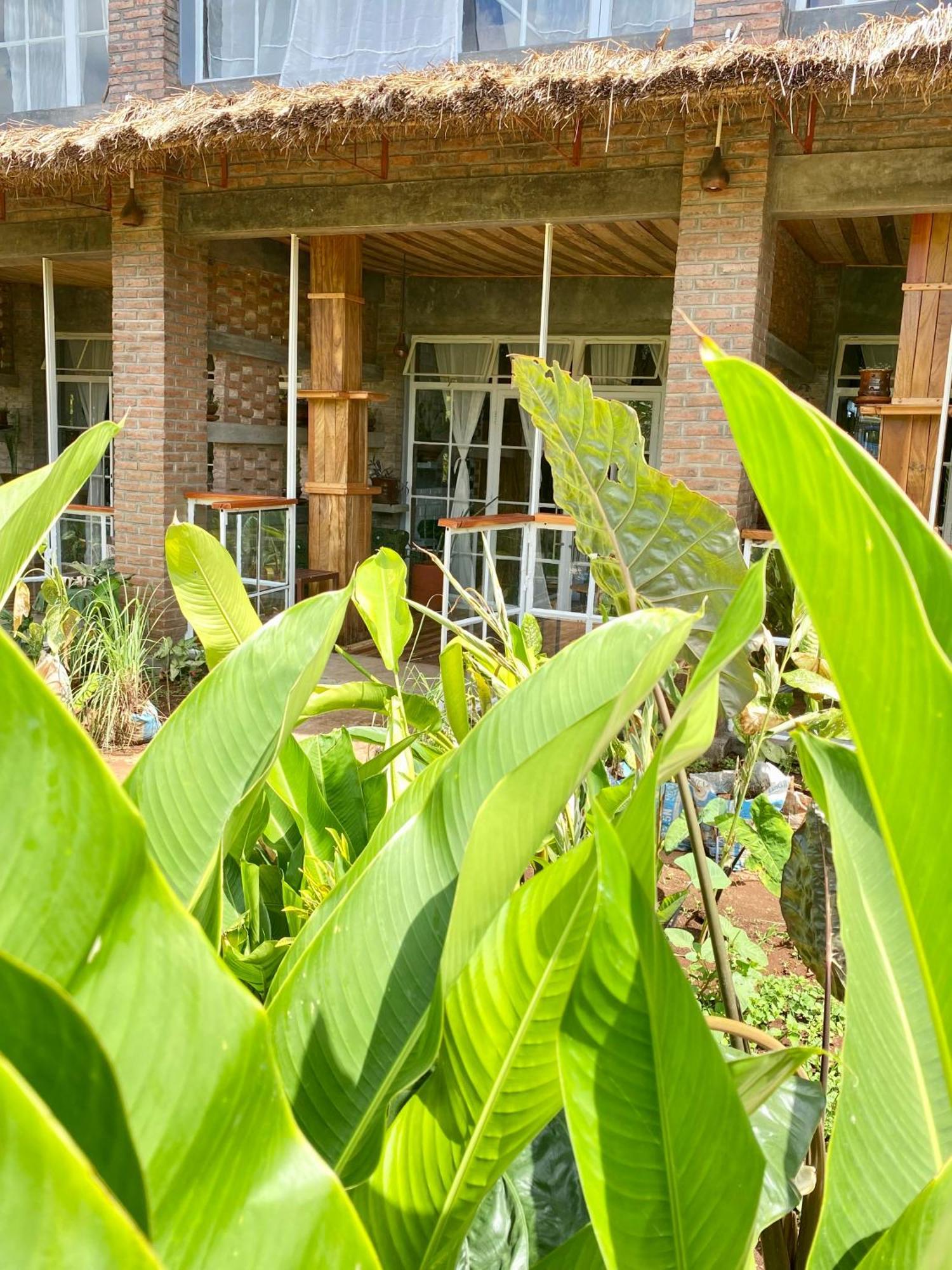 Mount Kilimanjaro 360 View Cottage Uru ภายนอก รูปภาพ