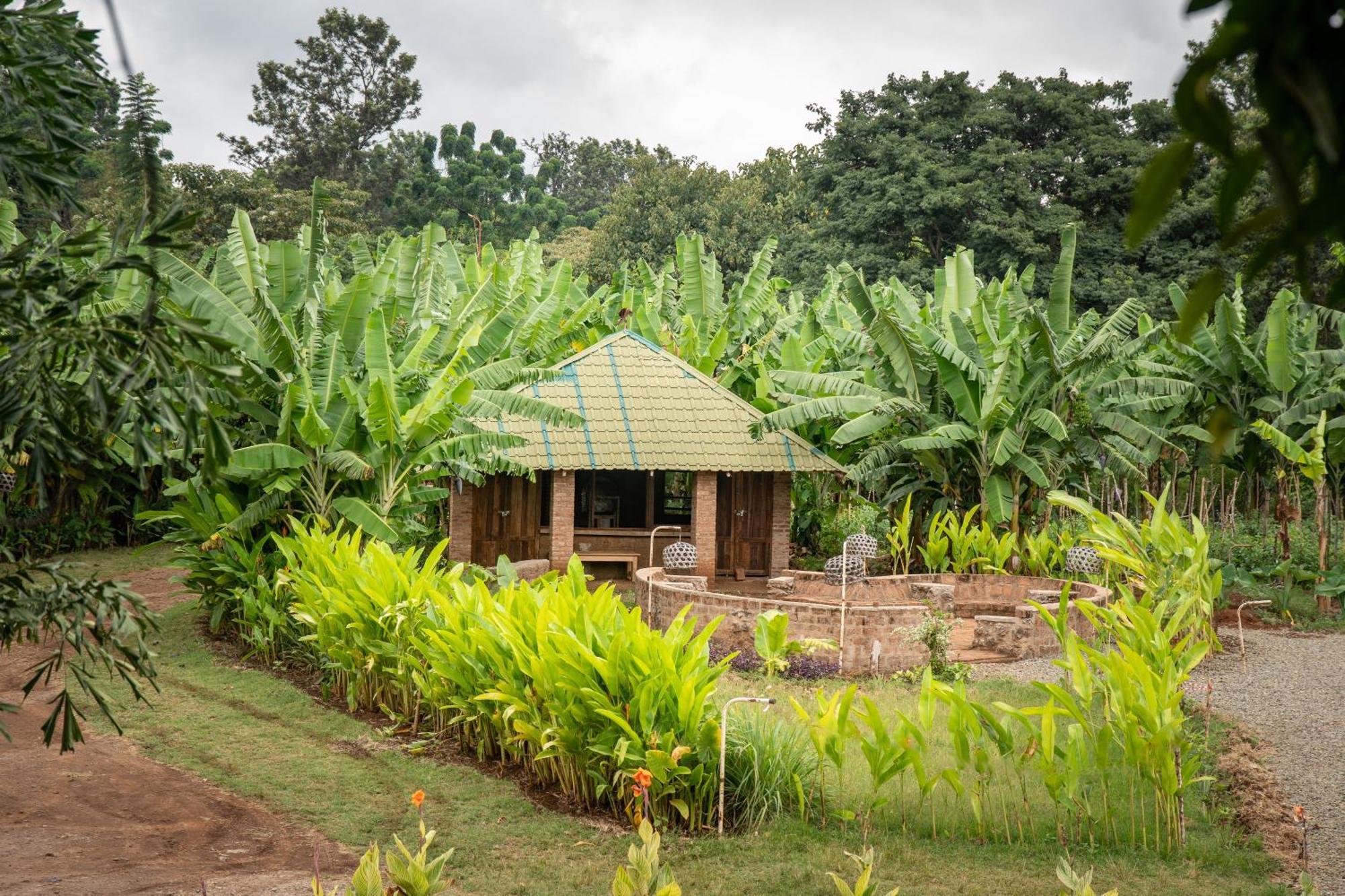 Mount Kilimanjaro 360 View Cottage Uru ภายนอก รูปภาพ