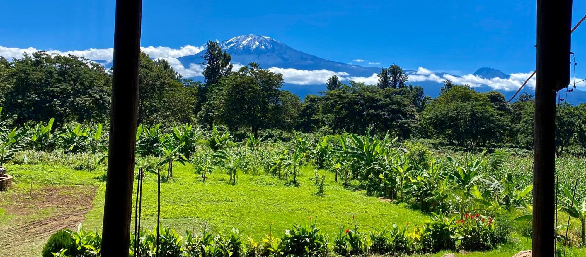 Mount Kilimanjaro 360 View Cottage Uru ภายนอก รูปภาพ